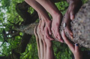 mains sur tronc d'arbre